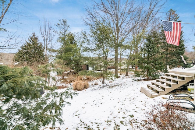 view of yard layered in snow