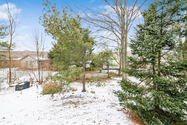 view of yard layered in snow