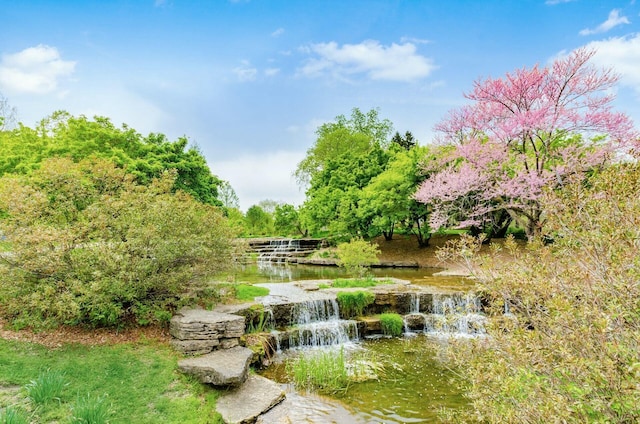 view of community with a water view