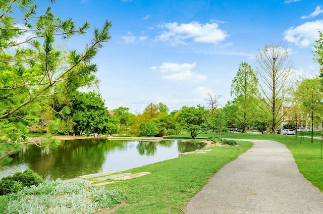 view of community with a water view and a lawn