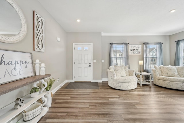 entryway with wood-type flooring