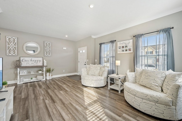 living room with hardwood / wood-style flooring and a wealth of natural light