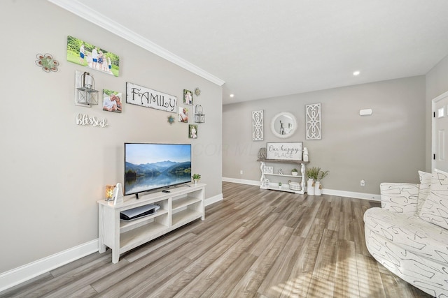 living room with wood-type flooring and crown molding