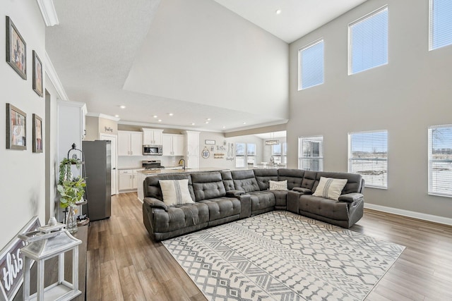 living room featuring sink, light wood-type flooring, a towering ceiling, and crown molding