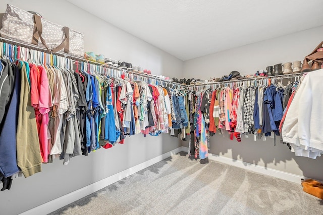 walk in closet with carpet floors