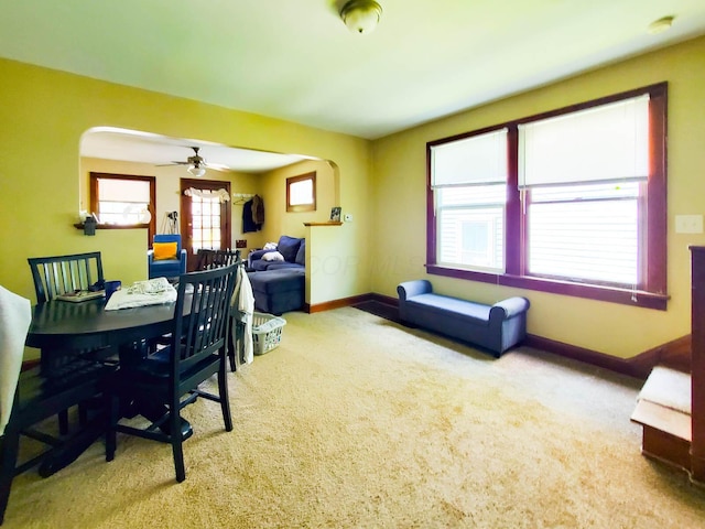 carpeted home office with ceiling fan