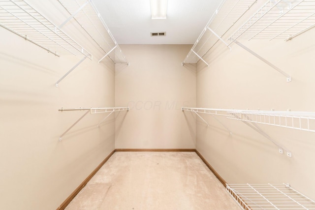 spacious closet with carpet