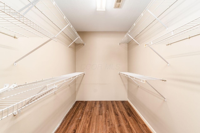 spacious closet featuring dark hardwood / wood-style floors