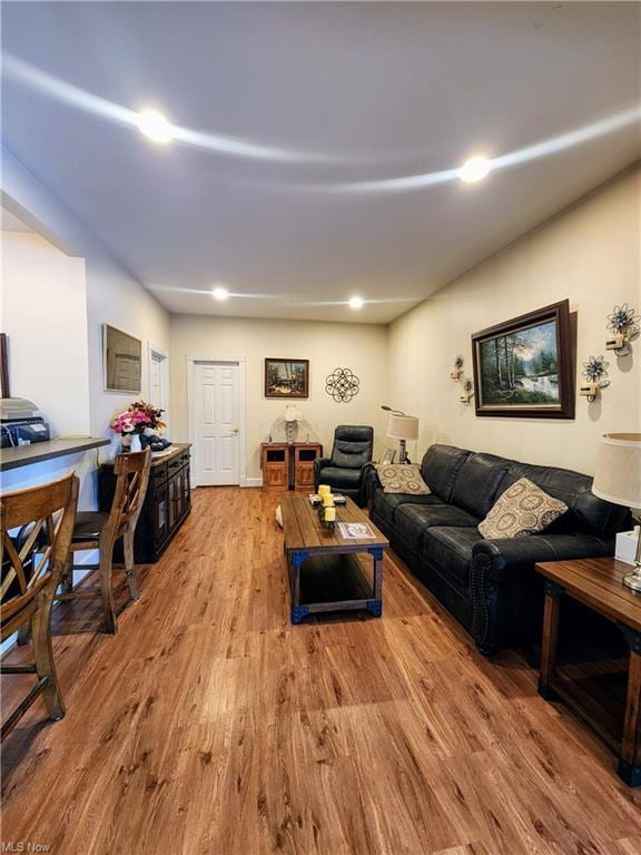 living room featuring light hardwood / wood-style flooring