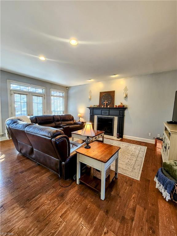 living room with a fireplace and dark hardwood / wood-style floors