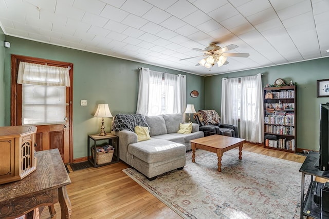 living room with ceiling fan and light wood-type flooring