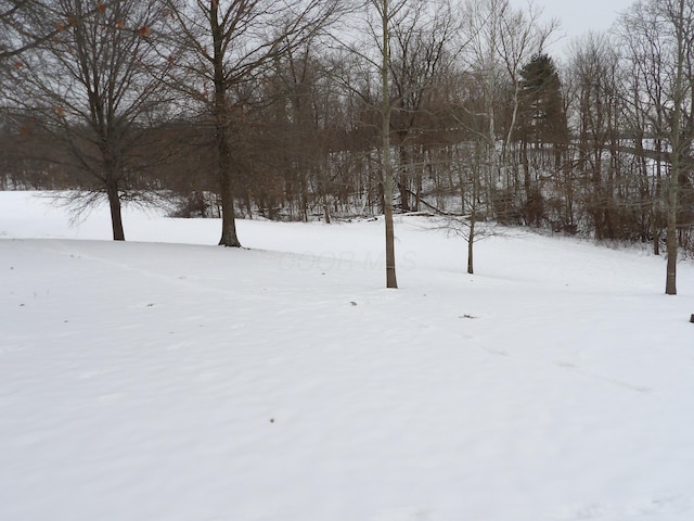 view of yard covered in snow