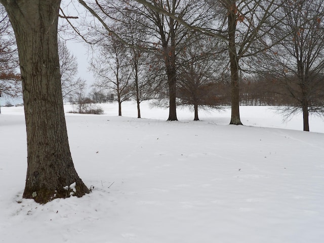 view of snowy yard