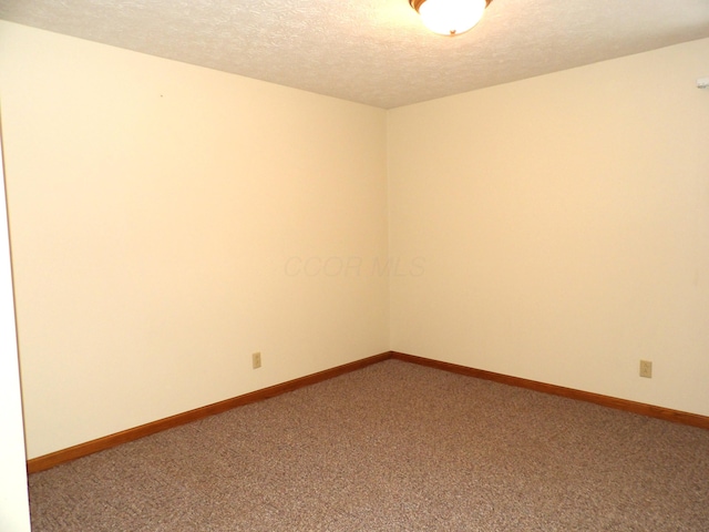 spare room with carpet flooring and a textured ceiling