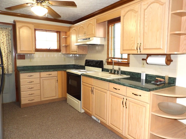 kitchen featuring sink, light brown cabinets, ornamental molding, and range with electric stovetop