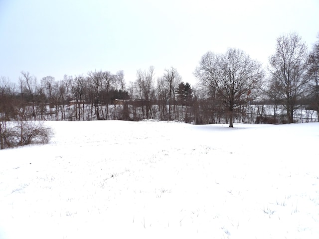 view of yard layered in snow