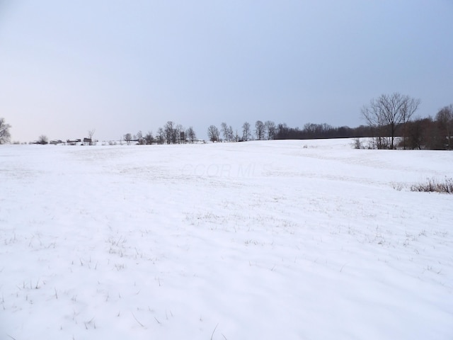 view of yard covered in snow