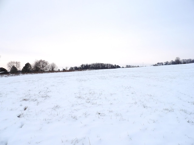 view of yard covered in snow