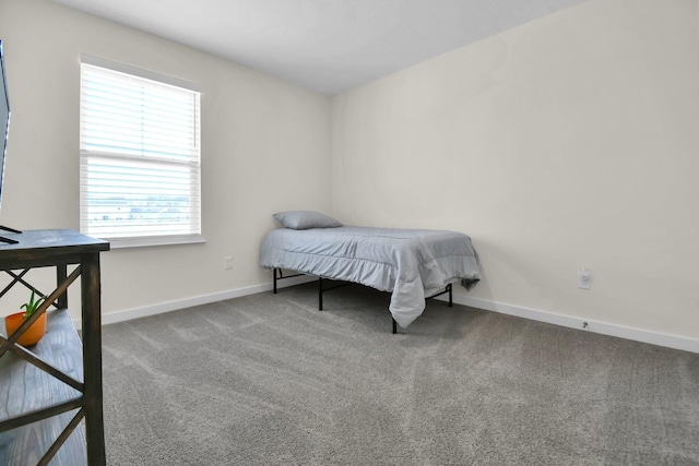 bedroom featuring carpet flooring