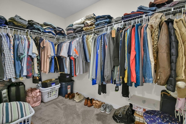 walk in closet featuring carpet