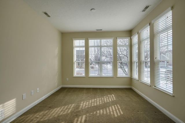 carpeted empty room featuring plenty of natural light and a textured ceiling