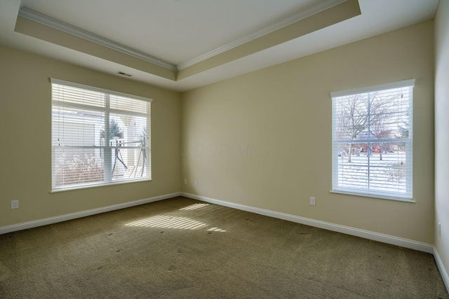 spare room featuring a tray ceiling, crown molding, and carpet flooring