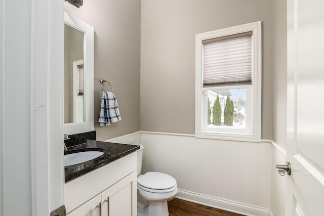 bathroom featuring vanity, toilet, and wood-type flooring