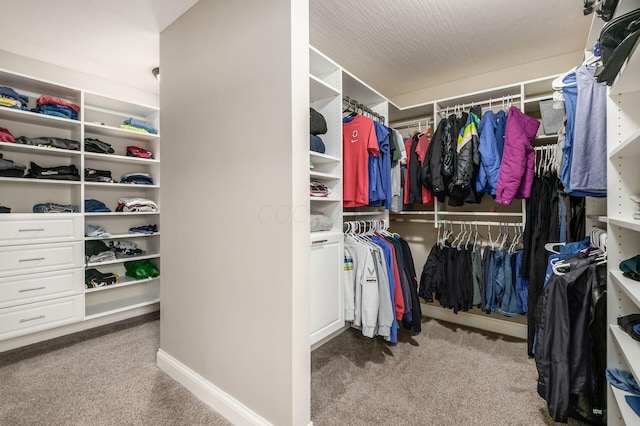 walk in closet featuring light carpet