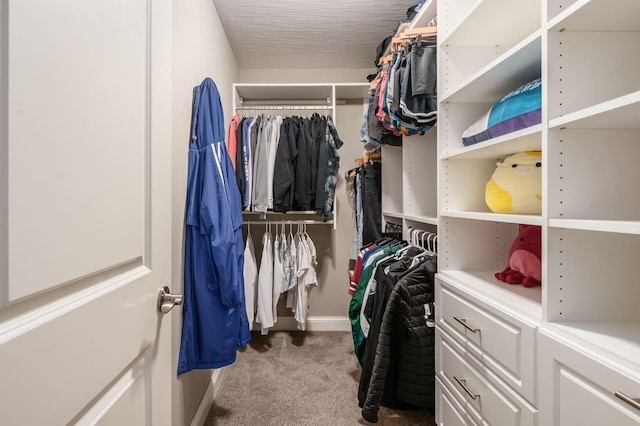 walk in closet with carpet flooring