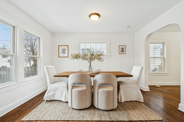 dining space with plenty of natural light and dark hardwood / wood-style flooring