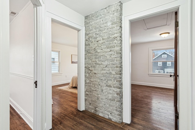 hallway with dark hardwood / wood-style flooring and a wealth of natural light