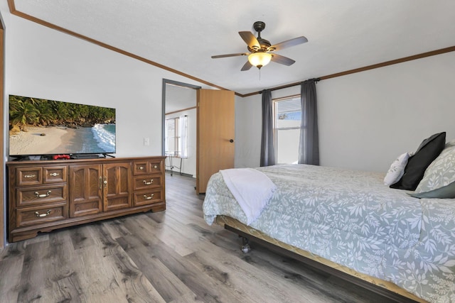 bedroom featuring crown molding, dark wood-type flooring, and multiple windows