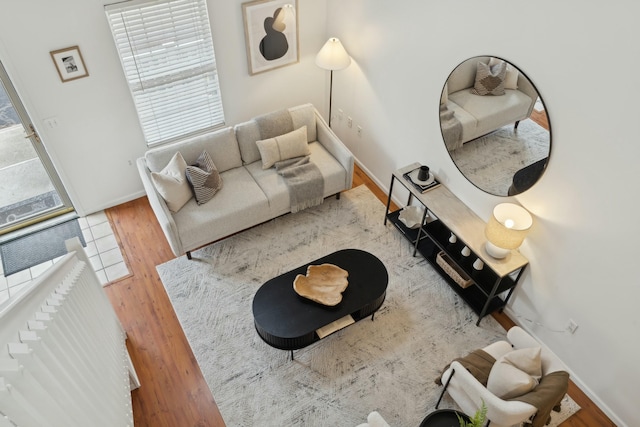 living room with hardwood / wood-style floors