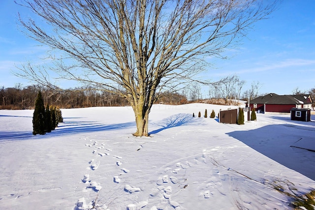 view of yard layered in snow