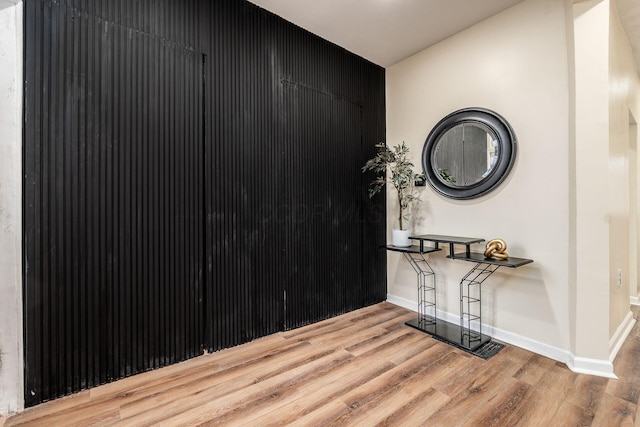 entrance foyer featuring wood-type flooring