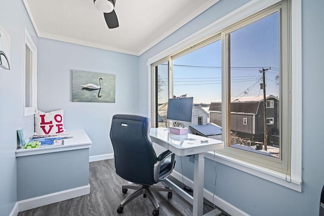 home office featuring ornamental molding, ceiling fan, and dark hardwood / wood-style flooring