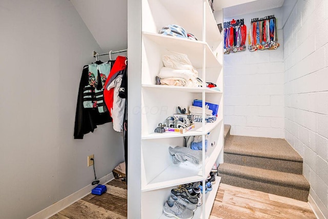 walk in closet featuring wood-type flooring