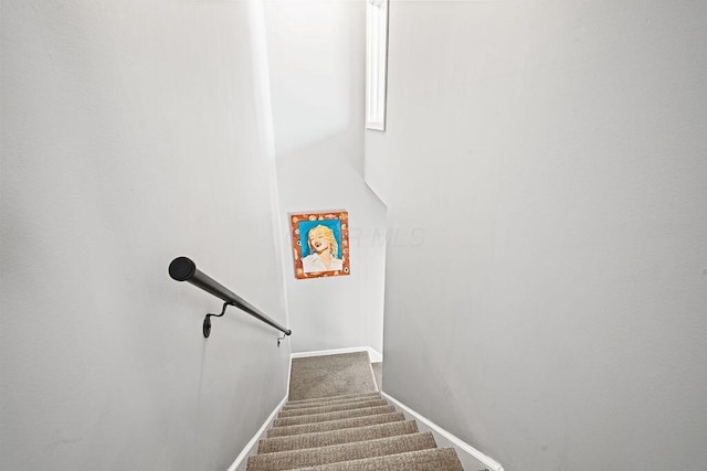 staircase with carpet flooring