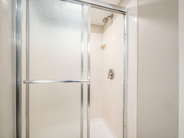 full bathroom featuring a shower stall