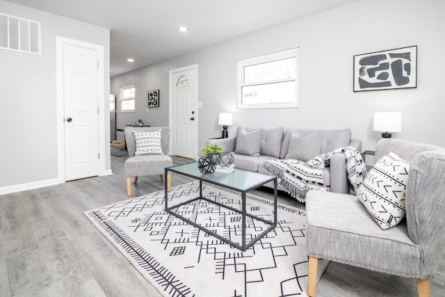 living room featuring hardwood / wood-style floors