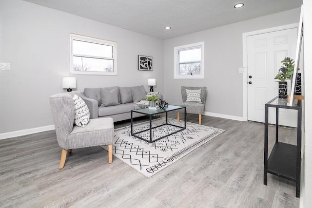 living room featuring hardwood / wood-style floors