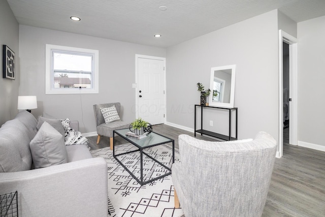 living room featuring wood-type flooring