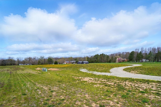 6115 Graessle Rd, London, OH 43140 - photo 9