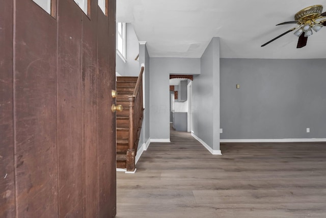 entryway featuring ceiling fan and hardwood / wood-style floors