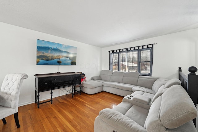 living room with wood-type flooring