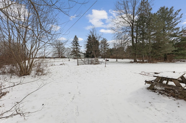 view of yard layered in snow