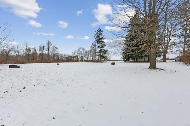 view of yard covered in snow