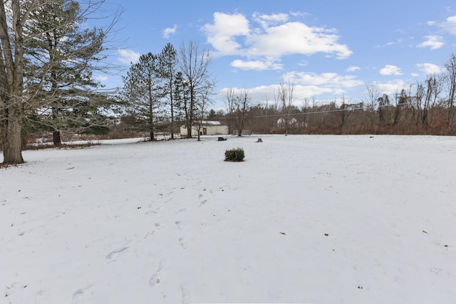 view of yard covered in snow