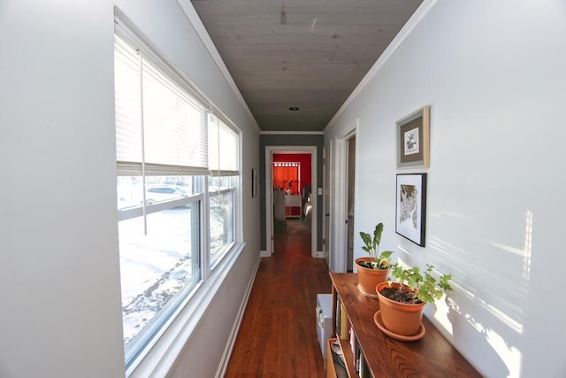 corridor with crown molding and dark wood-type flooring