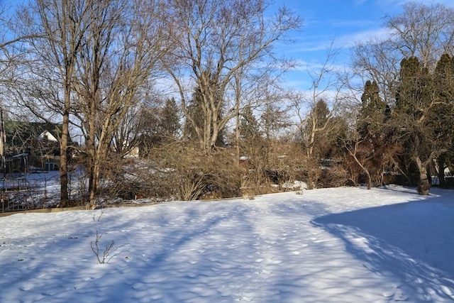 view of snowy yard